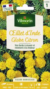 Œillet d'Inde Globe Citron